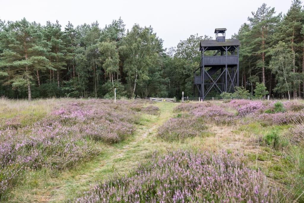 Leva - Logeren In Drenthe Villa Doldersum Luaran gambar