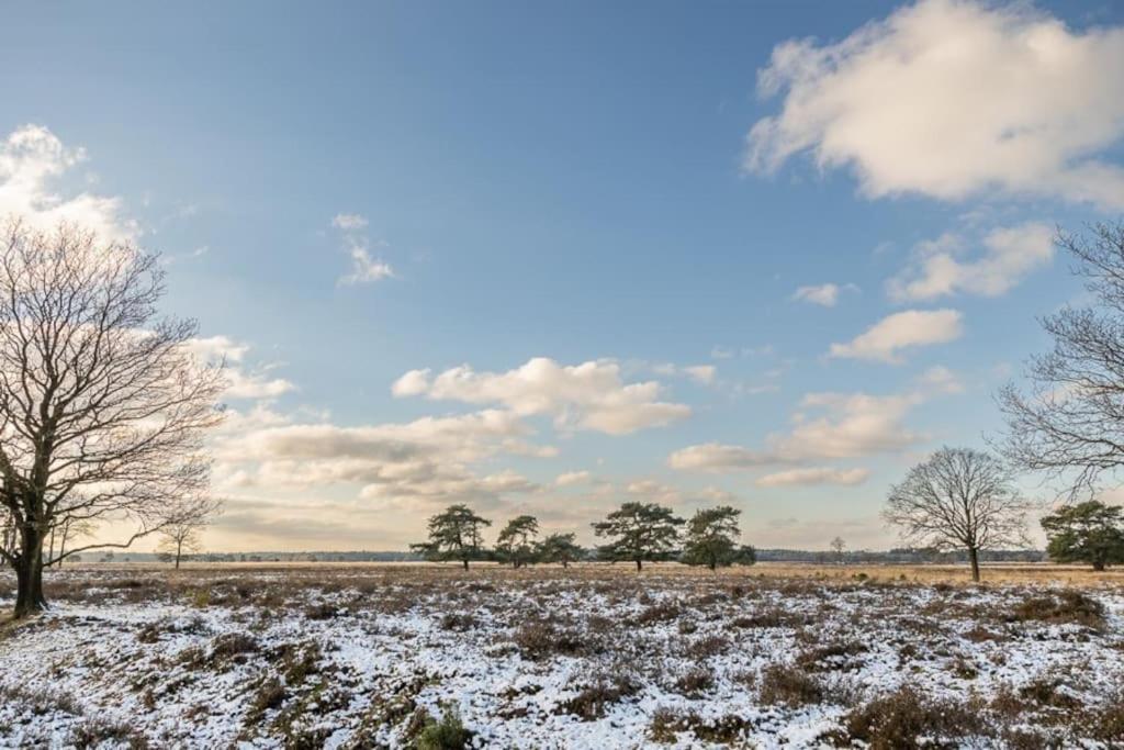 Leva - Logeren In Drenthe Villa Doldersum Luaran gambar