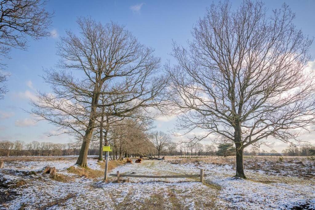 Leva - Logeren In Drenthe Villa Doldersum Luaran gambar
