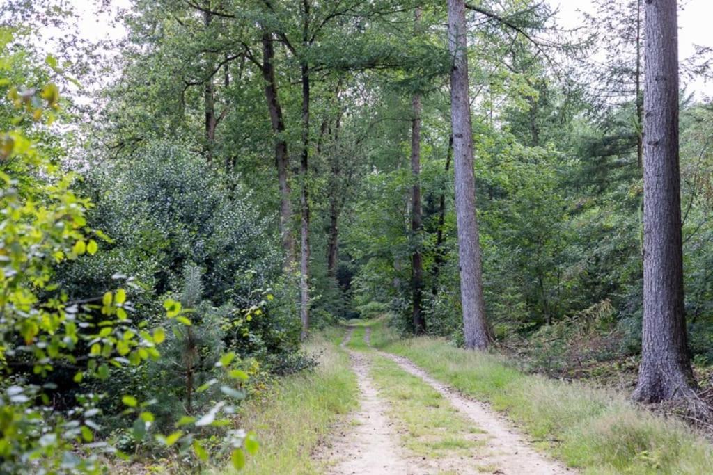 Leva - Logeren In Drenthe Villa Doldersum Luaran gambar