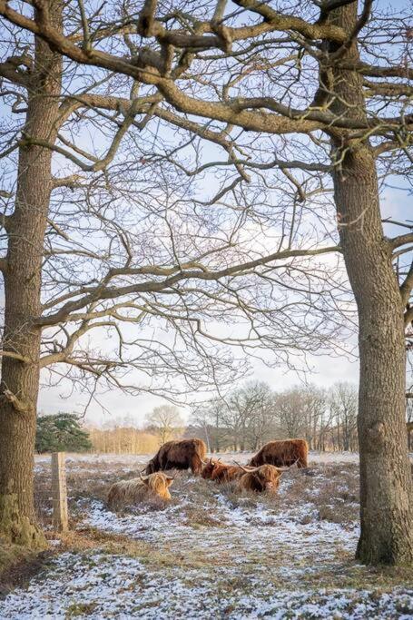 Leva - Logeren In Drenthe Villa Doldersum Luaran gambar