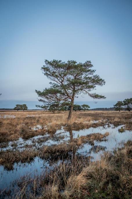 Leva - Logeren In Drenthe Villa Doldersum Luaran gambar