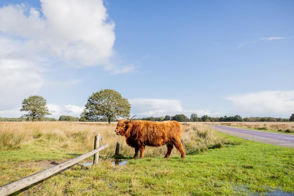 Leva - Logeren In Drenthe Villa Doldersum Luaran gambar