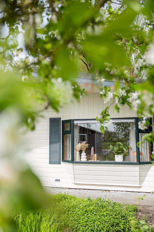 Leva - Logeren In Drenthe Villa Doldersum Luaran gambar
